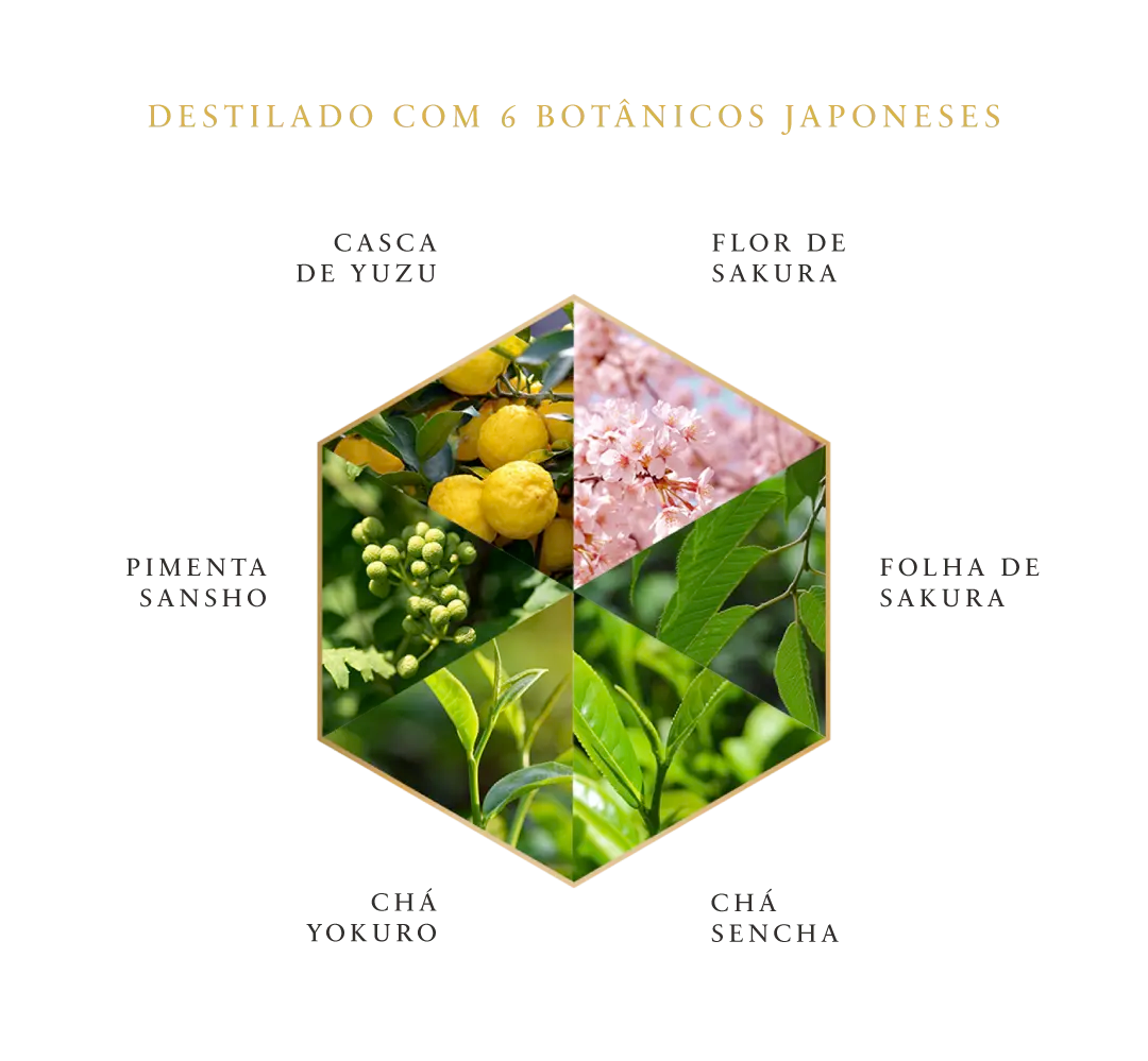 files/BOTANICOS_4_Marca_Mobile_ROKU_copia.webp