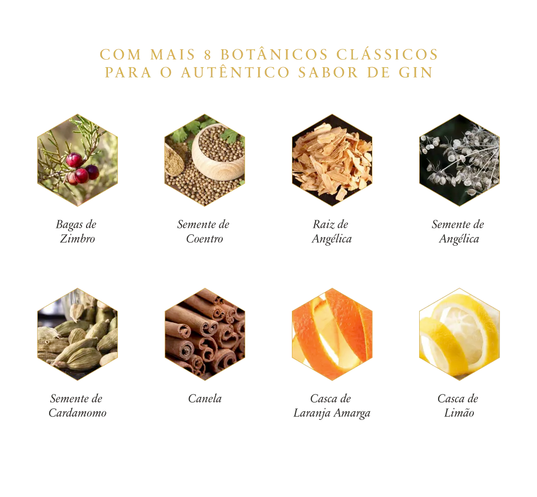 files/BOTANICOS_4_Marca_Mobile_ROKU_copia_3.webp