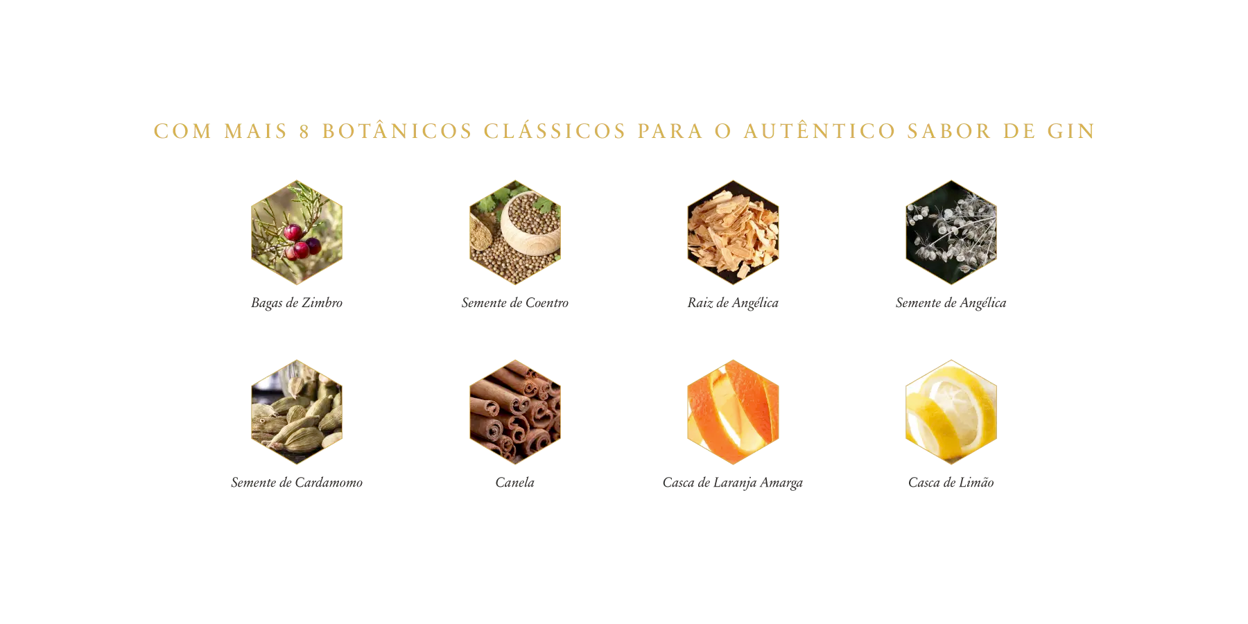 files/BOTANICOS_4_Marca_ROKU_copia_3.webp